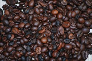 Glorious Beans 